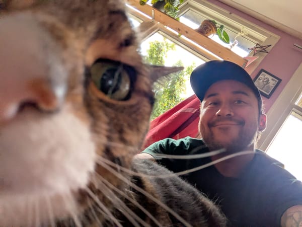 Bewegen door de mist